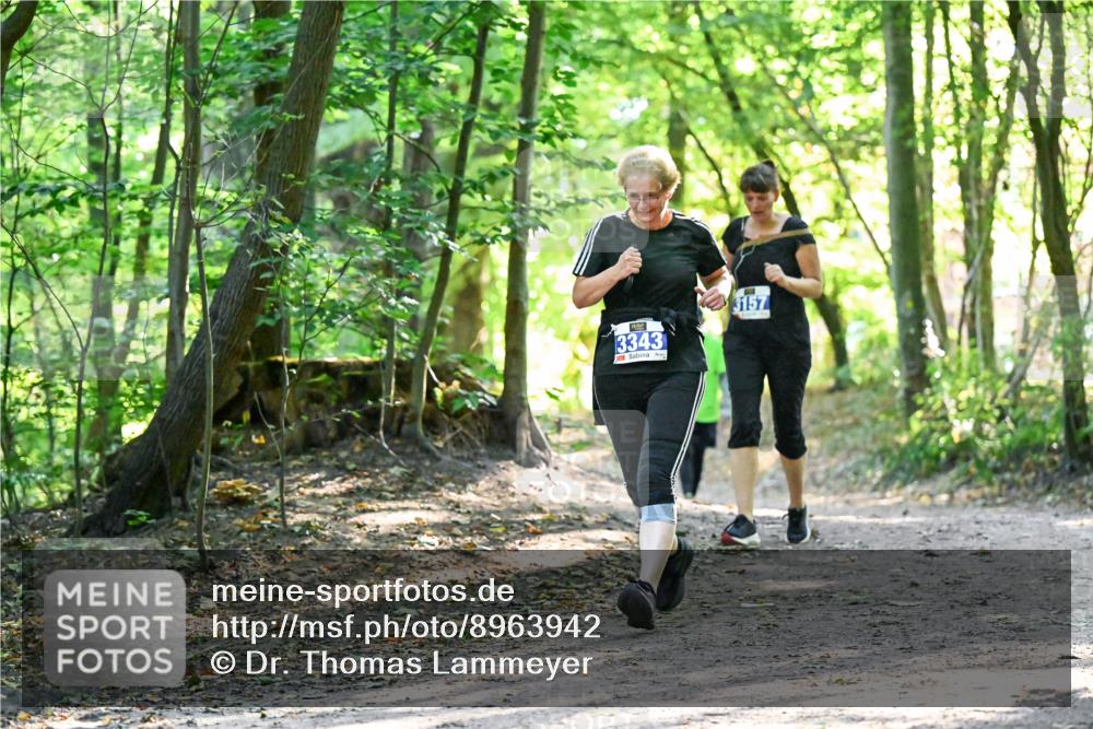 28.09.2025 - 33. Volkslauf durch das schöne Alstertal Dr. Thomas Lammeyer http://msf.ph/oto/8963942 28.09.2025 11:18:02 Laufen 3343, 3157 meine-sportfotos.de