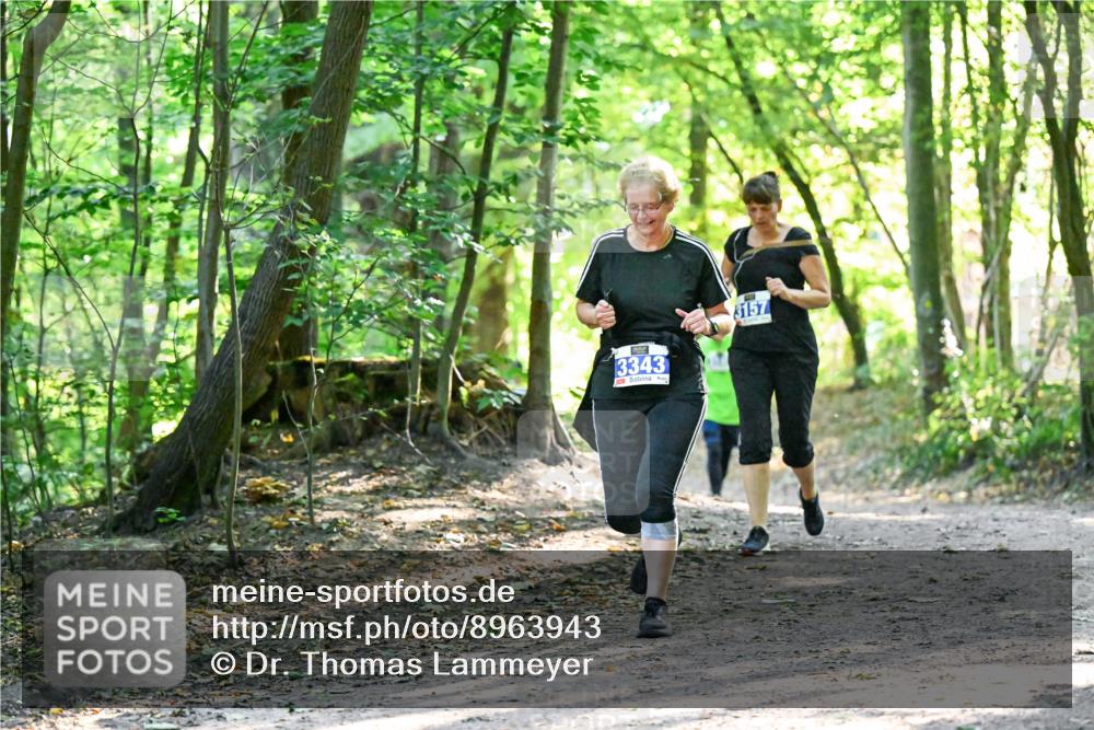 28.09.2025 - 33. Volkslauf durch das schöne Alstertal Dr. Thomas Lammeyer http://msf.ph/oto/8963943 28.09.2025 11:18:02 Laufen 3343, 3157 meine-sportfotos.de