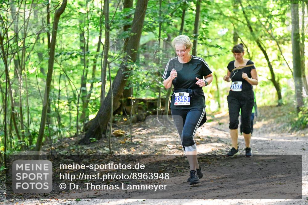 28.09.2025 - 33. Volkslauf durch das schöne Alstertal Dr. Thomas Lammeyer http://msf.ph/oto/8963948 28.09.2025 11:18:03 Laufen 3343, 3157 meine-sportfotos.de