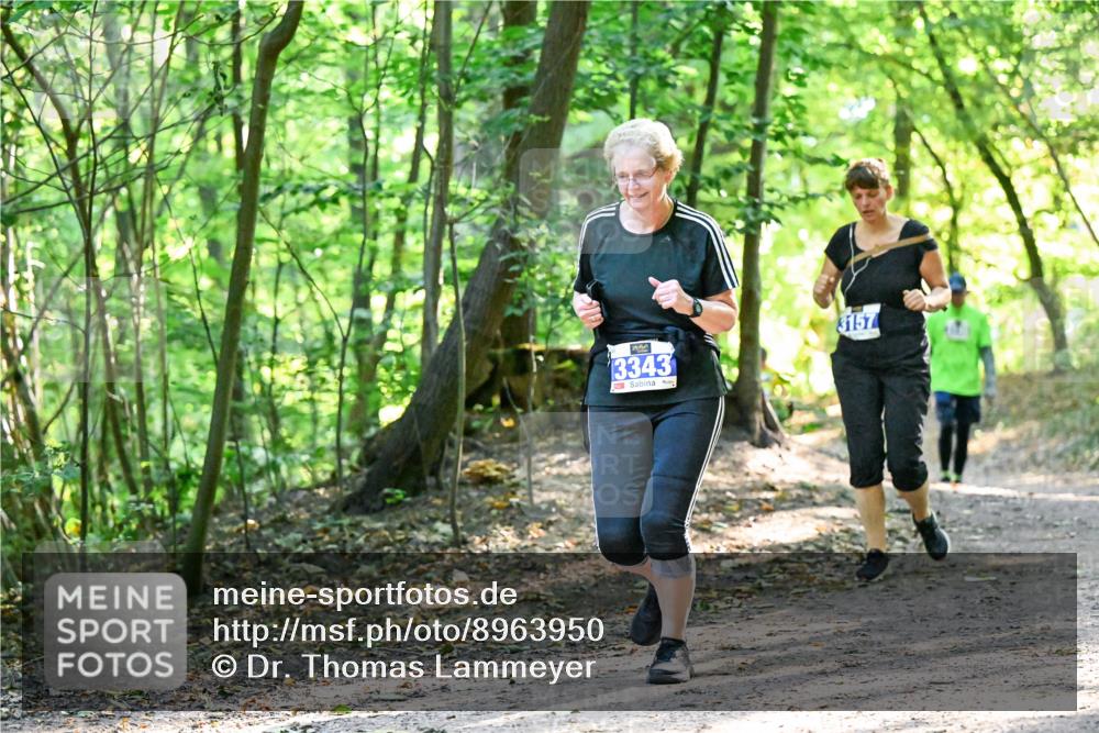 28.09.2025 - 33. Volkslauf durch das schöne Alstertal Dr. Thomas Lammeyer http://msf.ph/oto/8963950 28.09.2025 11:18:03 Laufen 3343, 3157 meine-sportfotos.de
