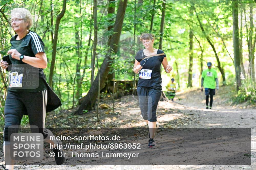 28.09.2025 - 33. Volkslauf durch das schöne Alstertal Dr. Thomas Lammeyer http://msf.ph/oto/8963952 28.09.2025 11:18:04 Laufen 3343, 3157 meine-sportfotos.de