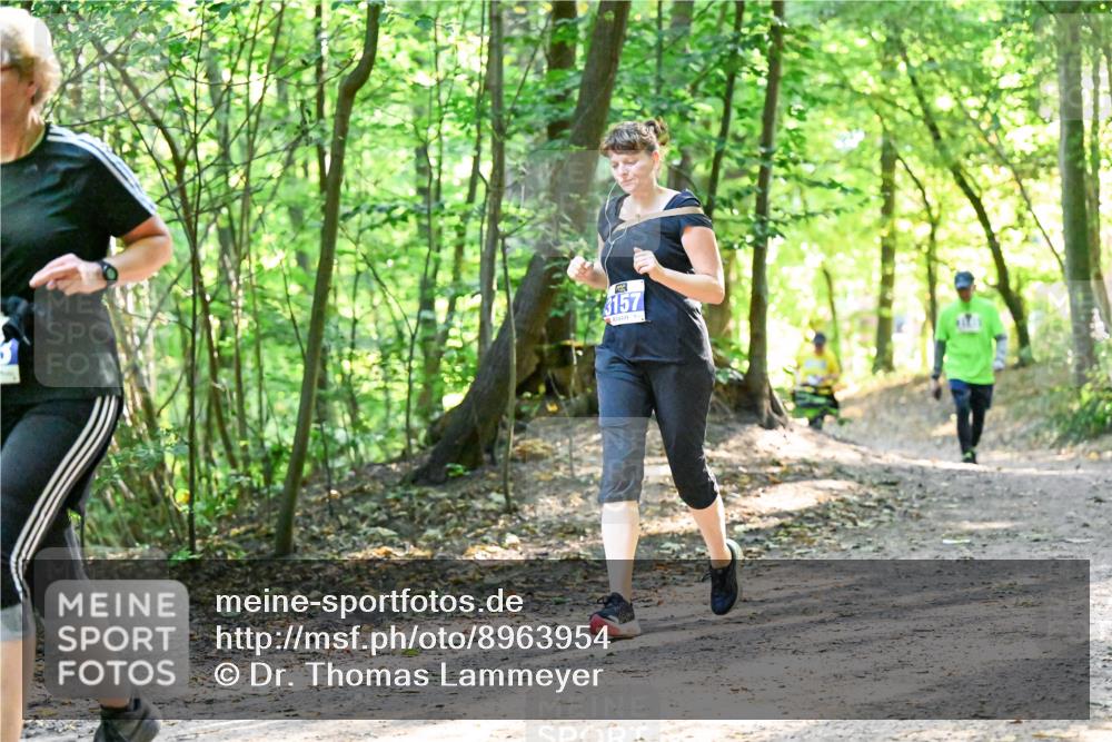 28.09.2025 - 33. Volkslauf durch das schöne Alstertal Dr. Thomas Lammeyer http://msf.ph/oto/8963954 28.09.2025 11:18:04 Laufen 3157 meine-sportfotos.de