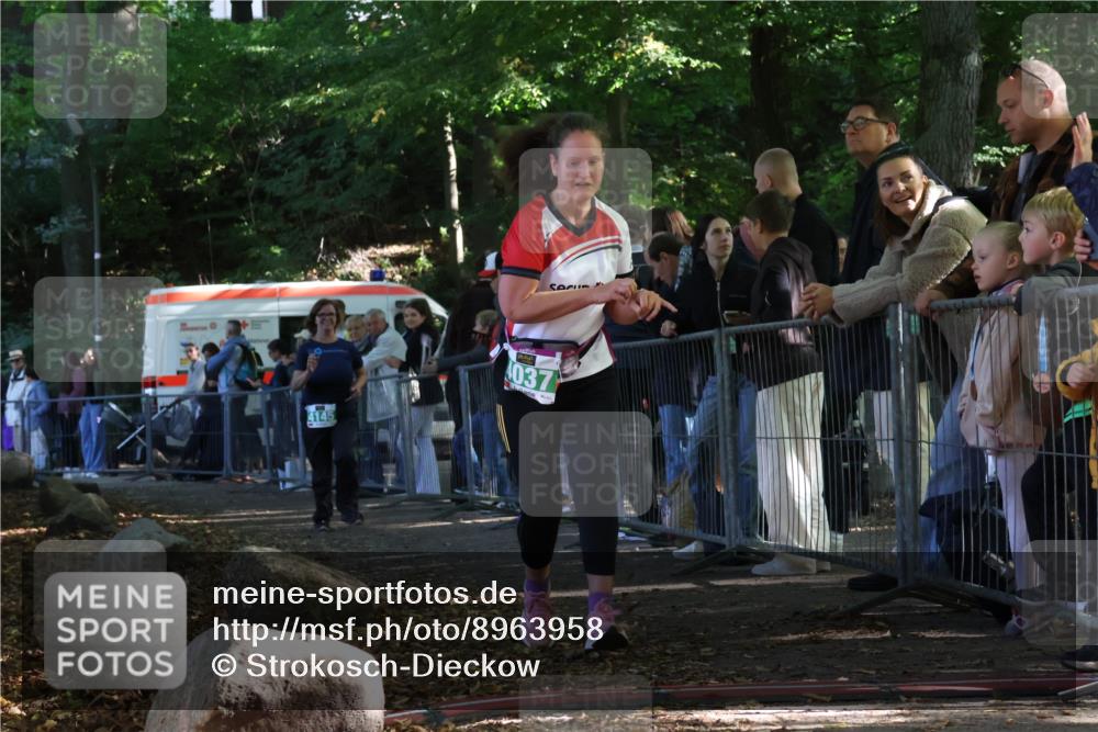 28.09.2025 - 33. Volkslauf durch das schöne Alstertal Strokosch-Dieckow http://msf.ph/oto/8963958 28.09.2025 11:09:20 Ziel 4037, 4145 meine-sportfotos.de