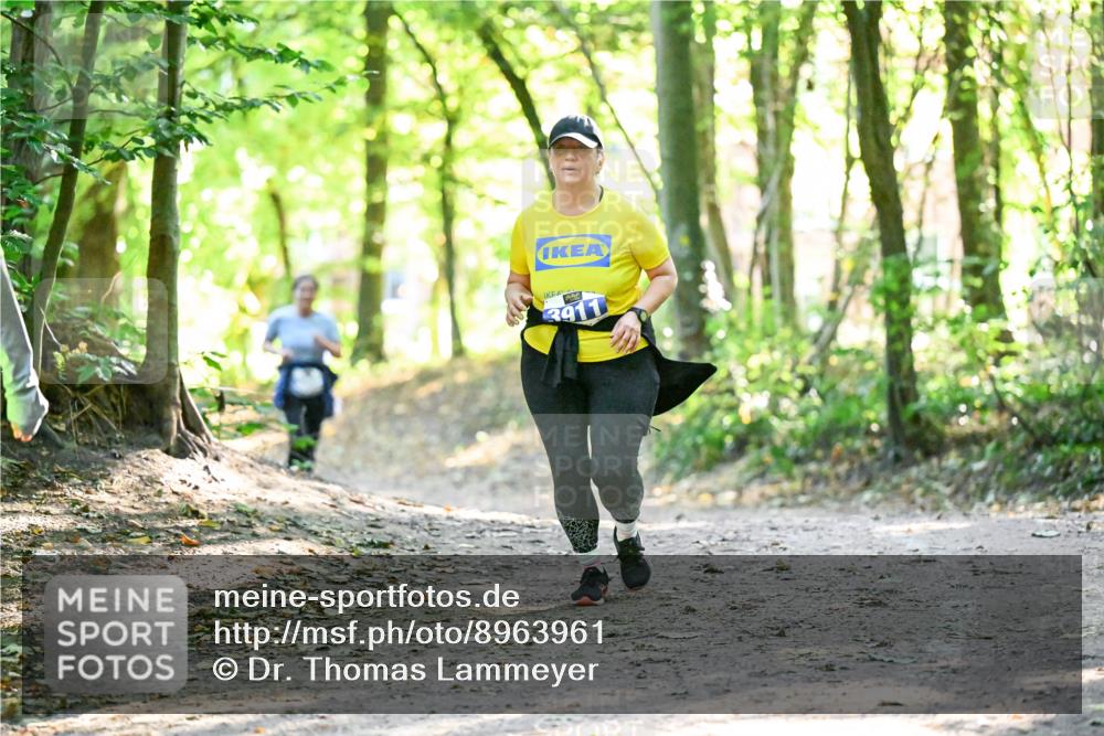 28.09.2025 - 33. Volkslauf durch das schöne Alstertal Dr. Thomas Lammeyer http://msf.ph/oto/8963961 28.09.2025 11:18:11 Laufen  meine-sportfotos.de