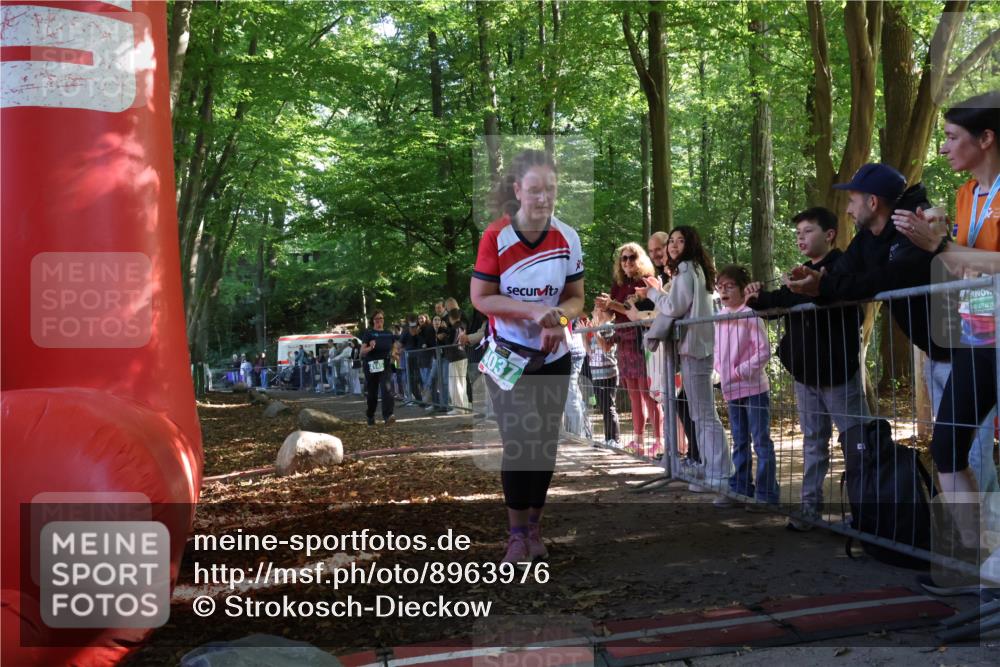 28.09.2025 - 33. Volkslauf durch das schöne Alstertal Strokosch-Dieckow http://msf.ph/oto/8963976 28.09.2025 11:09:22 Ziel 4145 meine-sportfotos.de