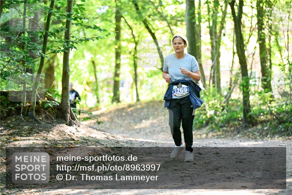 28.09.2025 - 33. Volkslauf durch das schöne Alstertal Dr. Thomas Lammeyer http://msf.ph/oto/8963997 28.09.2025 11:18:17 Laufen 3269 meine-sportfotos.de