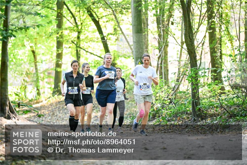 28.09.2025 - 33. Volkslauf durch das schöne Alstertal Dr. Thomas Lammeyer http://msf.ph/oto/8964051 28.09.2025 11:18:42 Laufen 3195, 243, 2958, 3057, 259 meine-sportfotos.de