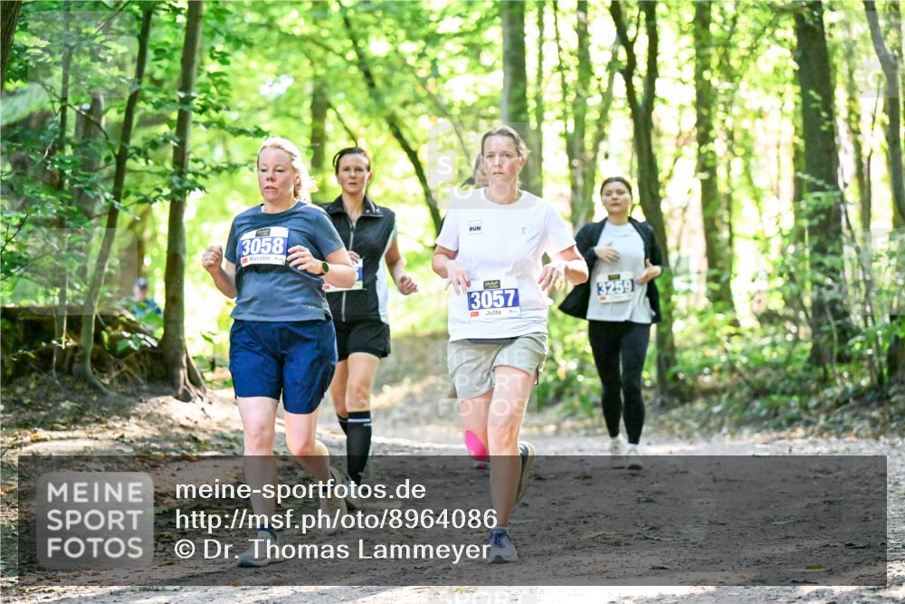 28.09.2025 - 33. Volkslauf durch das schöne Alstertal Dr. Thomas Lammeyer http://msf.ph/oto/8964086 28.09.2025 11:18:46 Laufen 3058, 3057, 3259 meine-sportfotos.de