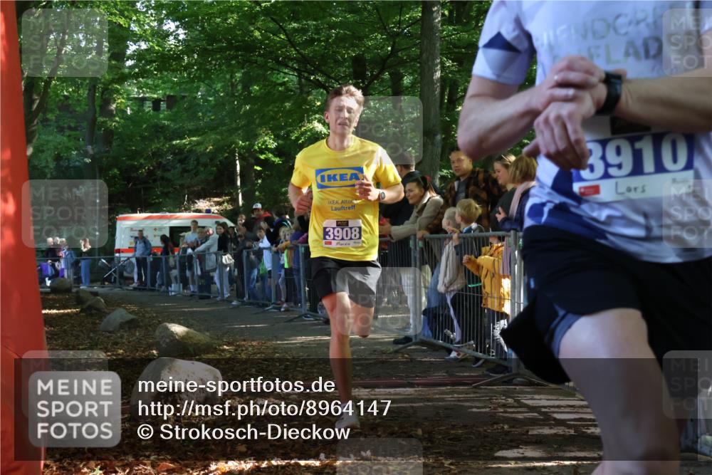 28.09.2025 - 33. Volkslauf durch das schöne Alstertal Strokosch-Dieckow http://msf.ph/oto/8964147 28.09.2025 11:10:51 Ziel 3908, 3910 meine-sportfotos.de