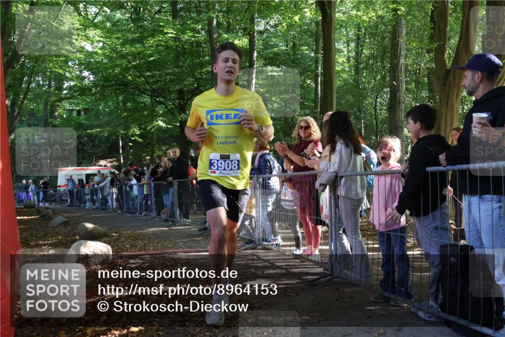 28.09.2025 - 33. Volkslauf durch das schöne Alstertal Strokosch-Dieckow http://msf.ph/oto/8964153 28.09.2025 11:10:52 Ziel 3908 meine-sportfotos.de