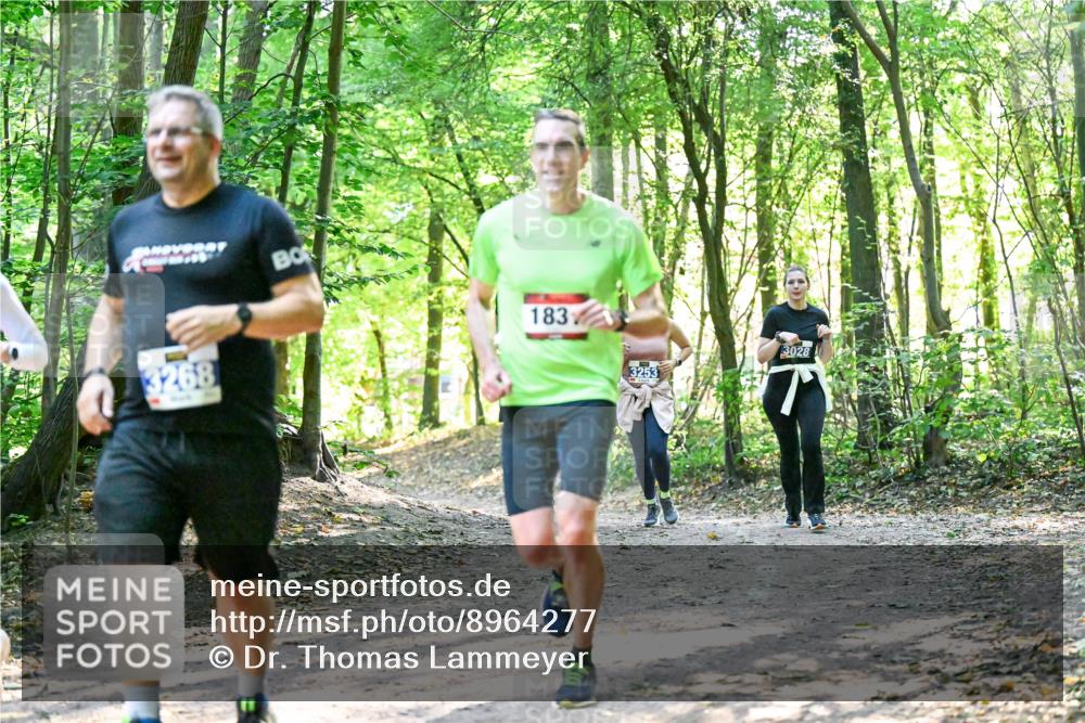 28.09.2025 - 33. Volkslauf durch das schöne Alstertal Dr. Thomas Lammeyer http://msf.ph/oto/8964277 28.09.2025 11:19:48 Laufen 3268, 183, 3253, 3028 meine-sportfotos.de