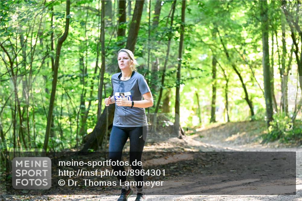 28.09.2025 - 33. Volkslauf durch das schöne Alstertal Dr. Thomas Lammeyer http://msf.ph/oto/8964301 28.09.2025 11:19:53 Laufen  meine-sportfotos.de
