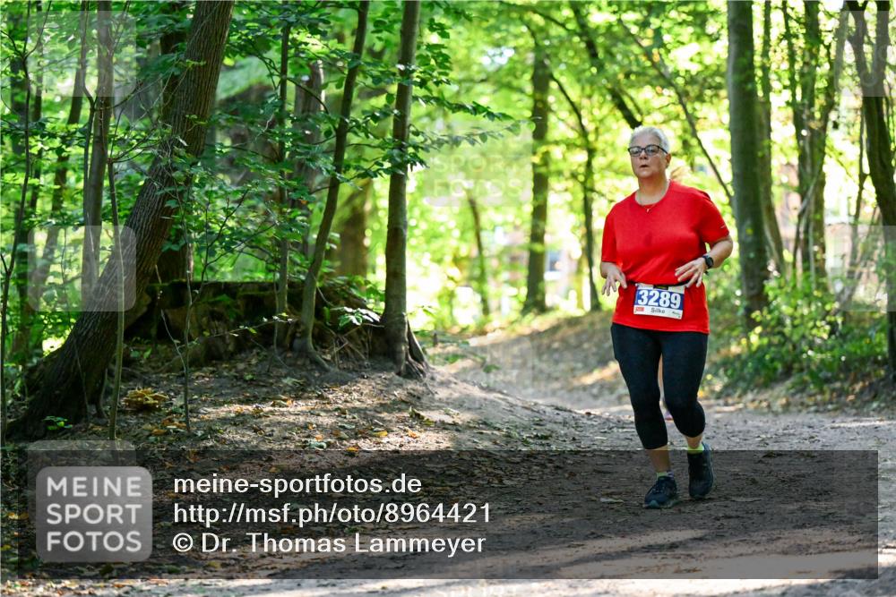28.09.2025 - 33. Volkslauf durch das schöne Alstertal Dr. Thomas Lammeyer http://msf.ph/oto/8964421 28.09.2025 11:20:40 Laufen 3289 meine-sportfotos.de