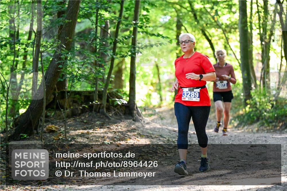 28.09.2025 - 33. Volkslauf durch das schöne Alstertal Dr. Thomas Lammeyer http://msf.ph/oto/8964426 28.09.2025 11:20:40 Laufen 3289, 3073 meine-sportfotos.de