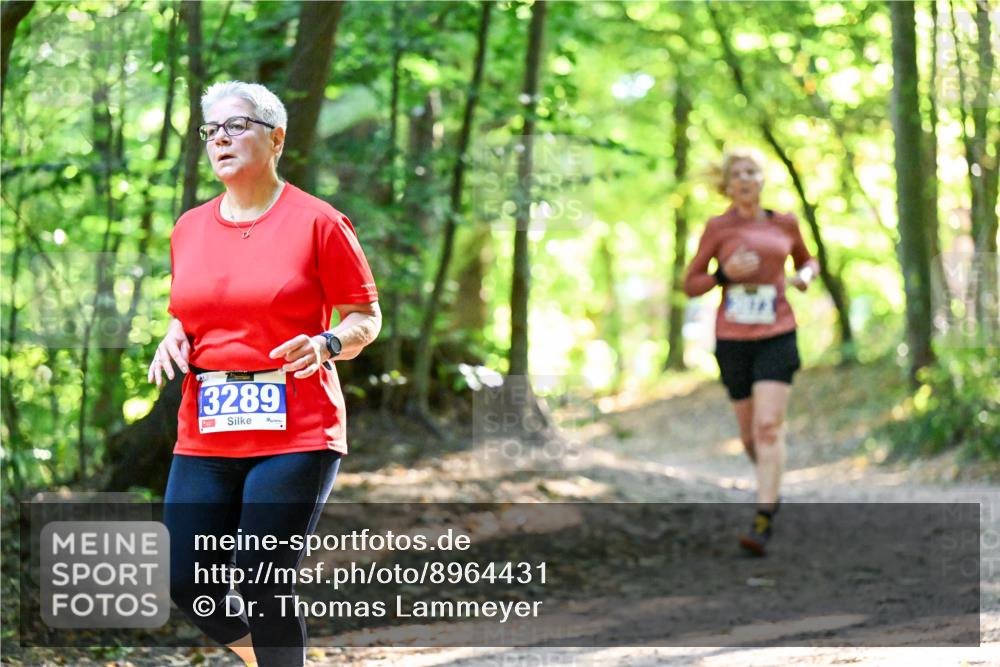 28.09.2025 - 33. Volkslauf durch das schöne Alstertal Dr. Thomas Lammeyer http://msf.ph/oto/8964431 28.09.2025 11:20:42 Laufen 3289 meine-sportfotos.de
