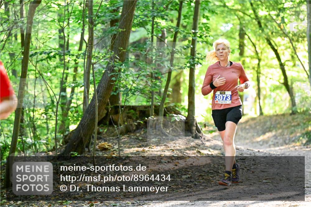 28.09.2025 - 33. Volkslauf durch das schöne Alstertal Dr. Thomas Lammeyer http://msf.ph/oto/8964434 28.09.2025 11:20:42 Laufen 3073 meine-sportfotos.de