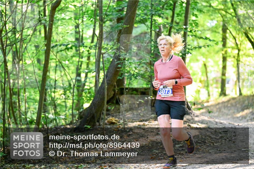 28.09.2025 - 33. Volkslauf durch das schöne Alstertal Dr. Thomas Lammeyer http://msf.ph/oto/8964439 28.09.2025 11:20:43 Laufen 3073 meine-sportfotos.de