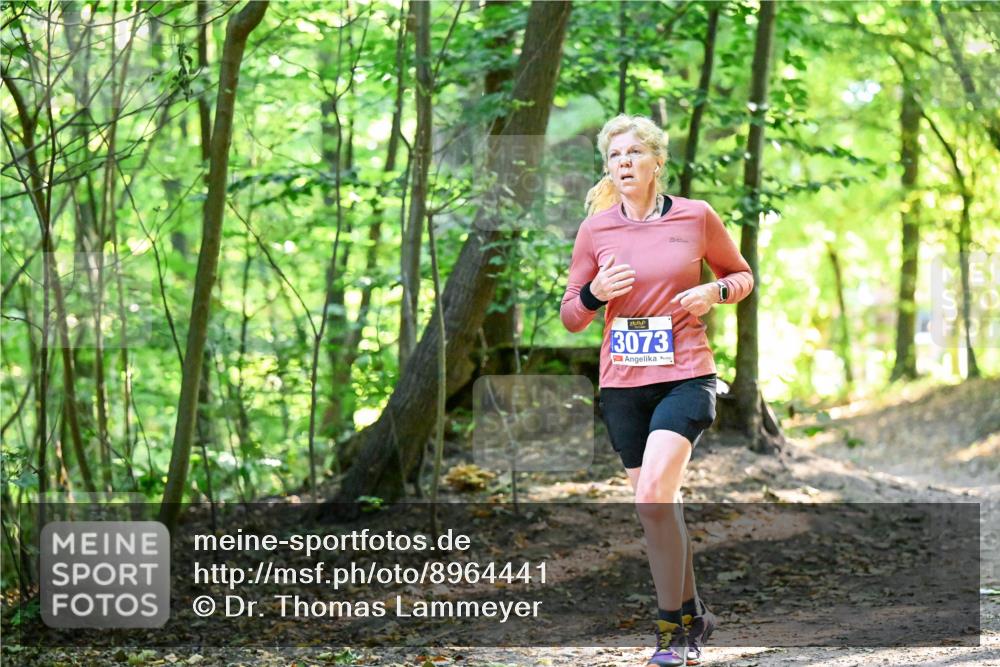 28.09.2025 - 33. Volkslauf durch das schöne Alstertal Dr. Thomas Lammeyer http://msf.ph/oto/8964441 28.09.2025 11:20:43 Laufen 3073 meine-sportfotos.de