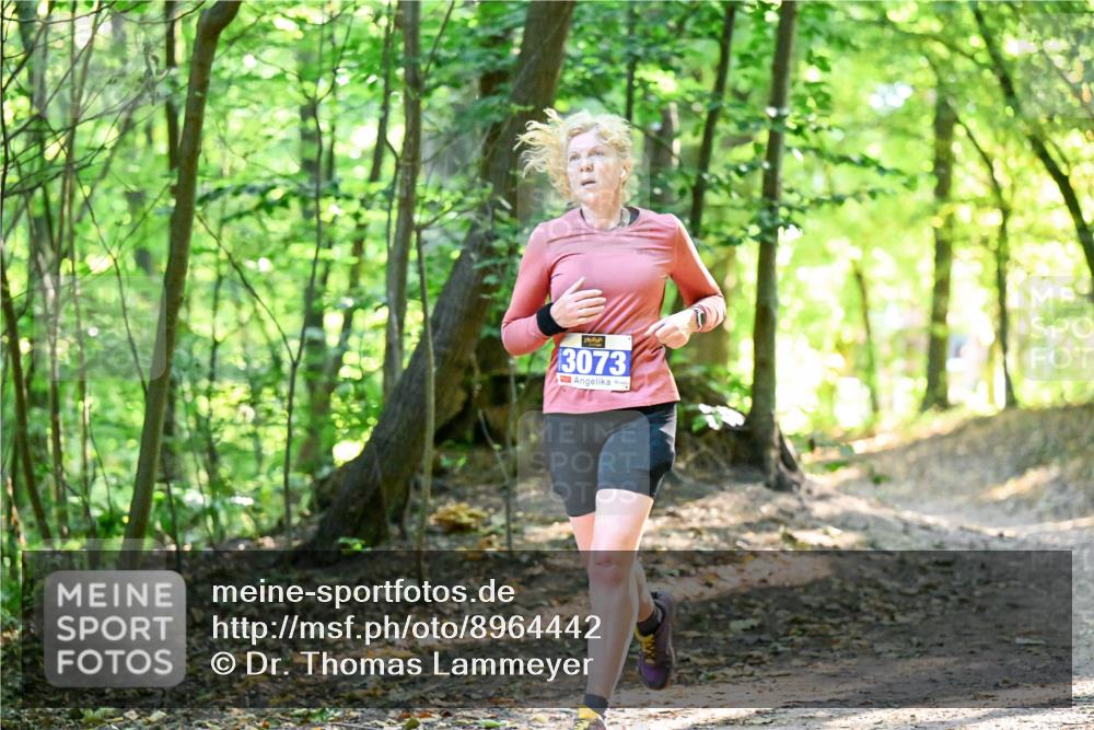28.09.2025 - 33. Volkslauf durch das schöne Alstertal Dr. Thomas Lammeyer http://msf.ph/oto/8964442 28.09.2025 11:20:43 Laufen 3073 meine-sportfotos.de