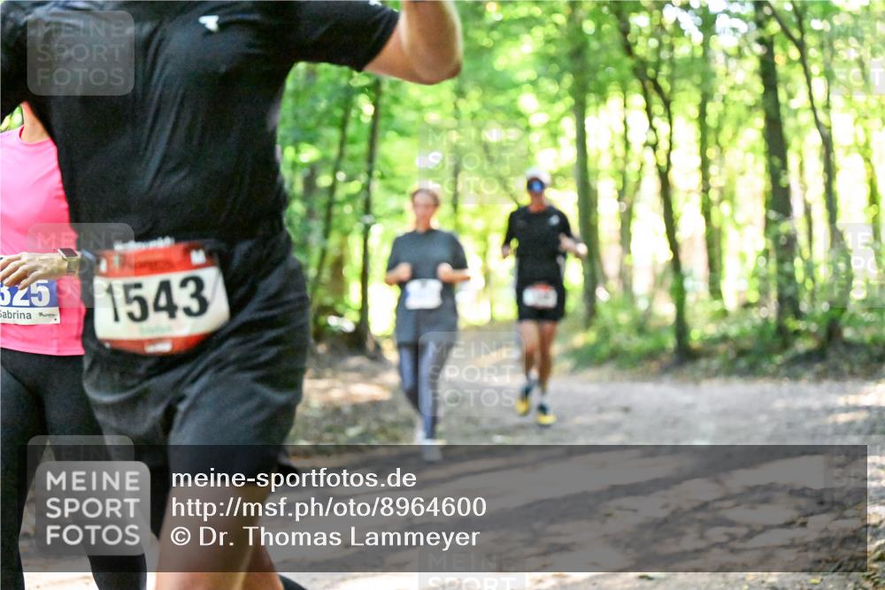 28.09.2025 - 33. Volkslauf durch das schöne Alstertal Dr. Thomas Lammeyer http://msf.ph/oto/8964600 28.09.2025 11:22:33 Laufen 525, 1543 meine-sportfotos.de