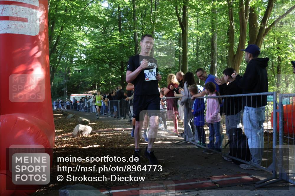 28.09.2025 - 33. Volkslauf durch das schöne Alstertal Strokosch-Dieckow http://msf.ph/oto/8964773 28.09.2025 11:14:53 Ziel 3362, 3366, 3939 meine-sportfotos.de