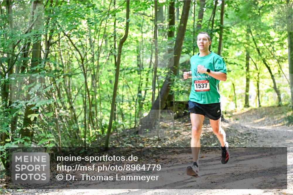 28.09.2025 - 33. Volkslauf durch das schöne Alstertal Dr. Thomas Lammeyer http://msf.ph/oto/8964779 28.09.2025 11:23:31 Laufen 1537 meine-sportfotos.de