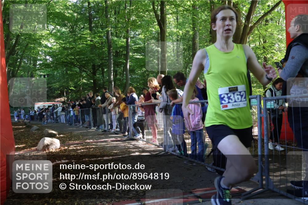 28.09.2025 - 33. Volkslauf durch das schöne Alstertal Strokosch-Dieckow http://msf.ph/oto/8964819 28.09.2025 11:14:55 Ziel 3362, 3406, 3939 meine-sportfotos.de