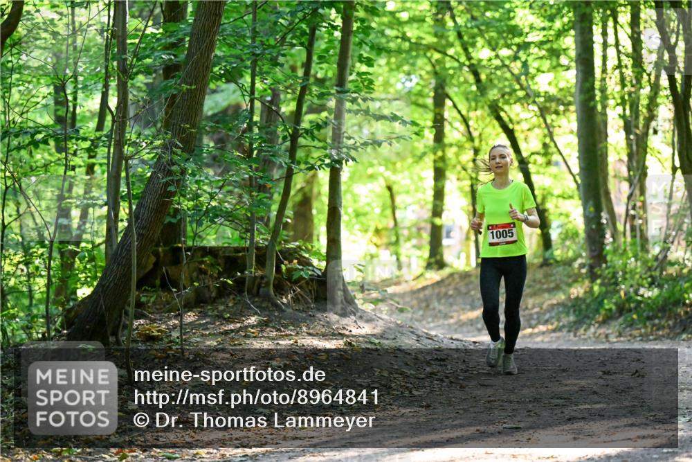 28.09.2025 - 33. Volkslauf durch das schöne Alstertal Dr. Thomas Lammeyer http://msf.ph/oto/8964841 28.09.2025 11:24:07 Laufen 1005 meine-sportfotos.de