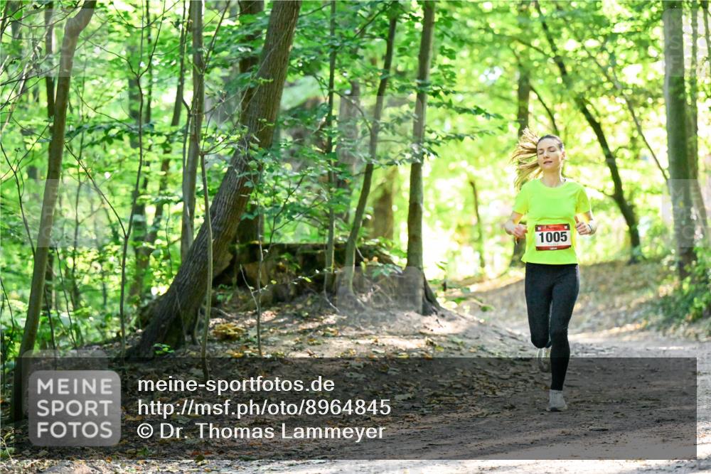 28.09.2025 - 33. Volkslauf durch das schöne Alstertal Dr. Thomas Lammeyer http://msf.ph/oto/8964845 28.09.2025 11:24:08 Laufen 1005 meine-sportfotos.de