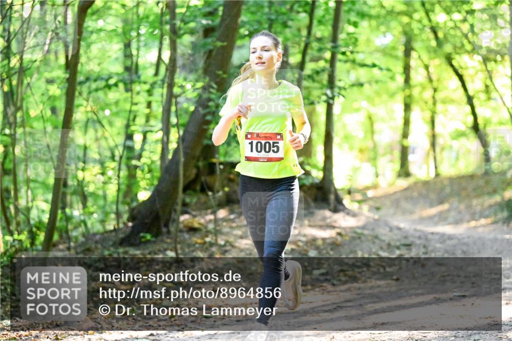 28.09.2025 - 33. Volkslauf durch das schöne Alstertal Dr. Thomas Lammeyer http://msf.ph/oto/8964856 28.09.2025 11:24:09 Laufen 1005 meine-sportfotos.de