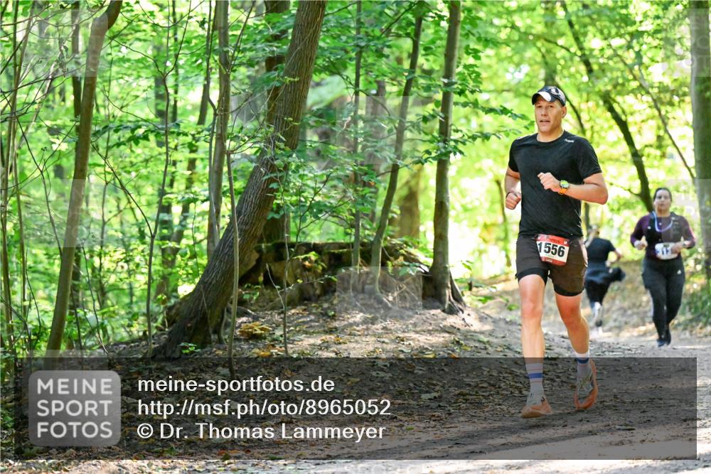 28.09.2025 - 33. Volkslauf durch das schöne Alstertal Dr. Thomas Lammeyer http://msf.ph/oto/8965052 28.09.2025 11:25:31 Laufen 1556 meine-sportfotos.de