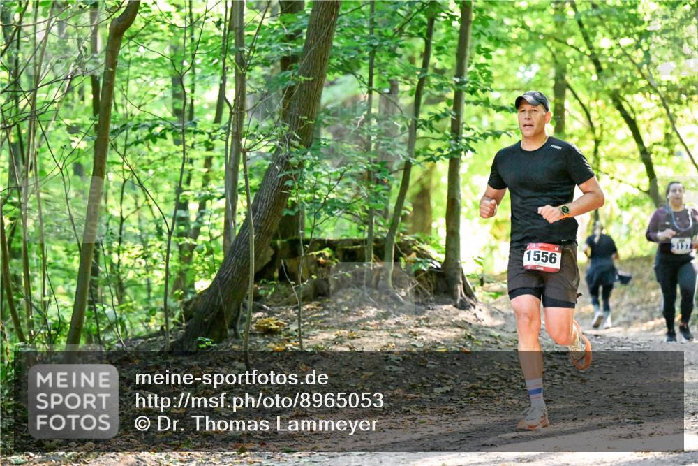 28.09.2025 - 33. Volkslauf durch das schöne Alstertal Dr. Thomas Lammeyer http://msf.ph/oto/8965053 28.09.2025 11:25:31 Laufen 131, 1556 meine-sportfotos.de