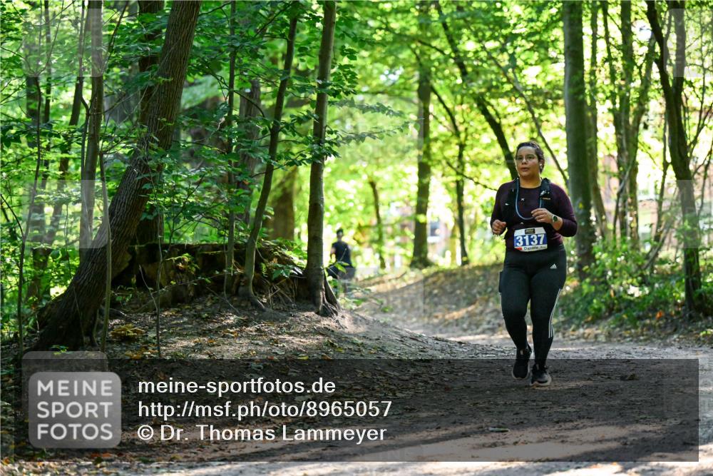 28.09.2025 - 33. Volkslauf durch das schöne Alstertal Dr. Thomas Lammeyer http://msf.ph/oto/8965057 28.09.2025 11:25:35 Laufen 3137 meine-sportfotos.de