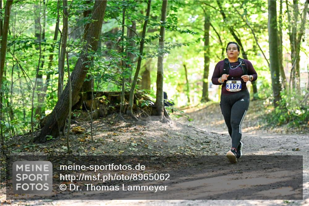 28.09.2025 - 33. Volkslauf durch das schöne Alstertal Dr. Thomas Lammeyer http://msf.ph/oto/8965062 28.09.2025 11:25:35 Laufen 3137 meine-sportfotos.de
