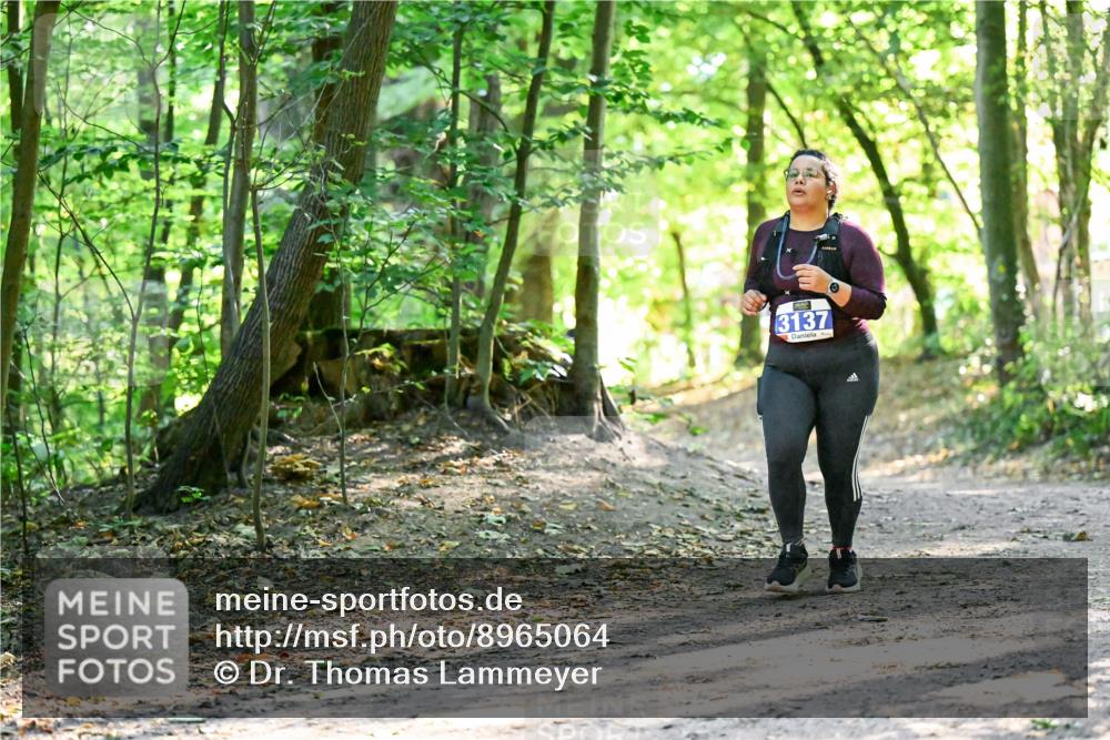 28.09.2025 - 33. Volkslauf durch das schöne Alstertal Dr. Thomas Lammeyer http://msf.ph/oto/8965064 28.09.2025 11:25:36 Laufen 3137 meine-sportfotos.de