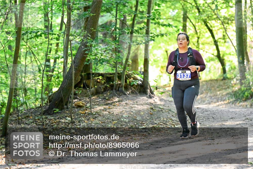 28.09.2025 - 33. Volkslauf durch das schöne Alstertal Dr. Thomas Lammeyer http://msf.ph/oto/8965066 28.09.2025 11:25:36 Laufen 3137 meine-sportfotos.de