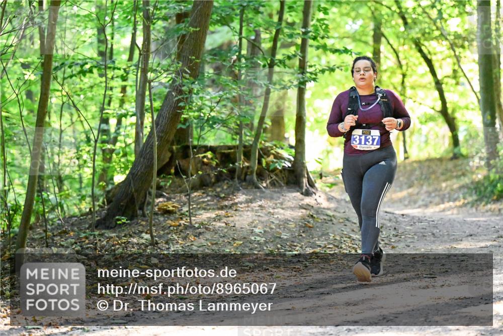28.09.2025 - 33. Volkslauf durch das schöne Alstertal Dr. Thomas Lammeyer http://msf.ph/oto/8965067 28.09.2025 11:25:36 Laufen 3137 meine-sportfotos.de