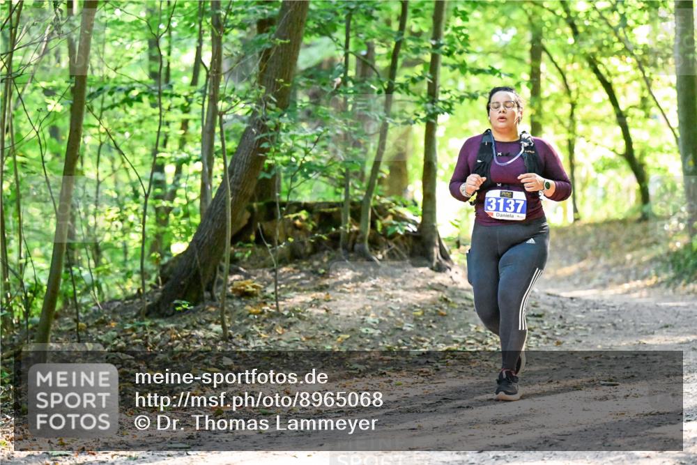 28.09.2025 - 33. Volkslauf durch das schöne Alstertal Dr. Thomas Lammeyer http://msf.ph/oto/8965068 28.09.2025 11:25:36 Laufen 3137 meine-sportfotos.de