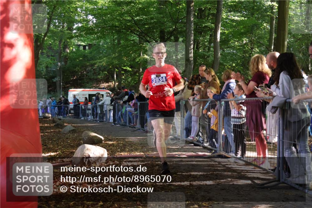 28.09.2025 - 33. Volkslauf durch das schöne Alstertal Strokosch-Dieckow http://msf.ph/oto/8965070 28.09.2025 11:16:54 Ziel 3934 meine-sportfotos.de