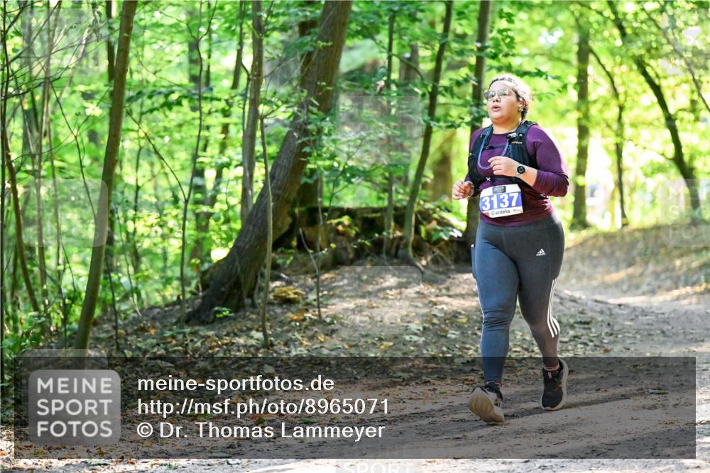28.09.2025 - 33. Volkslauf durch das schöne Alstertal Dr. Thomas Lammeyer http://msf.ph/oto/8965071 28.09.2025 11:25:36 Laufen 3137 meine-sportfotos.de