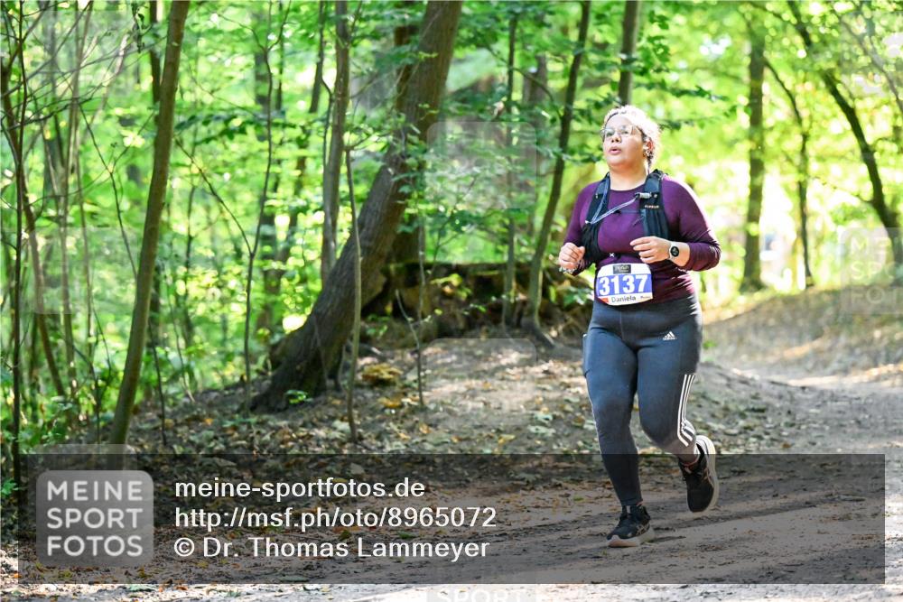 28.09.2025 - 33. Volkslauf durch das schöne Alstertal Dr. Thomas Lammeyer http://msf.ph/oto/8965072 28.09.2025 11:25:37 Laufen 3137 meine-sportfotos.de