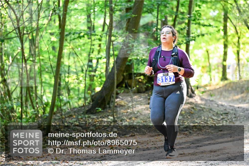 28.09.2025 - 33. Volkslauf durch das schöne Alstertal Dr. Thomas Lammeyer http://msf.ph/oto/8965075 28.09.2025 11:25:37 Laufen 3137 meine-sportfotos.de