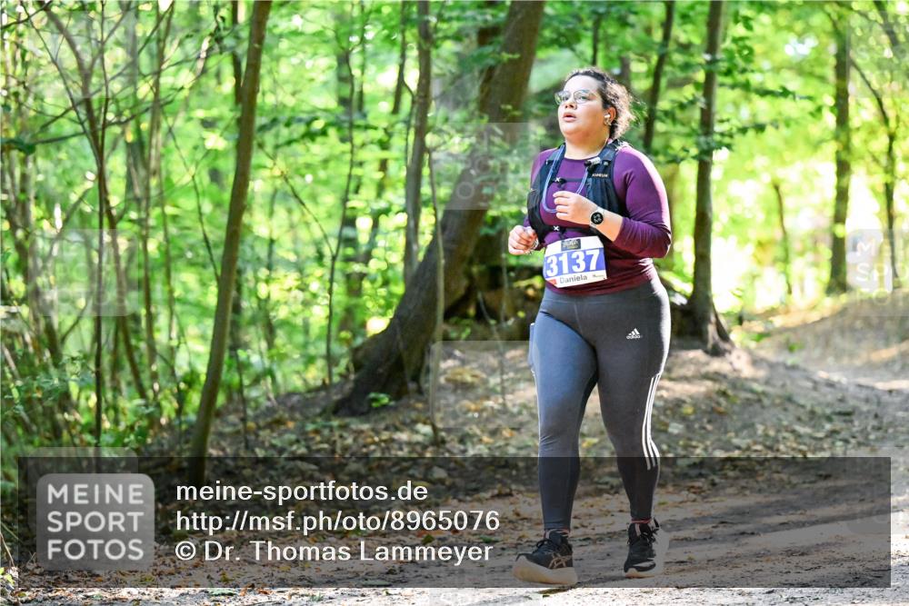28.09.2025 - 33. Volkslauf durch das schöne Alstertal Dr. Thomas Lammeyer http://msf.ph/oto/8965076 28.09.2025 11:25:37 Laufen 3137 meine-sportfotos.de