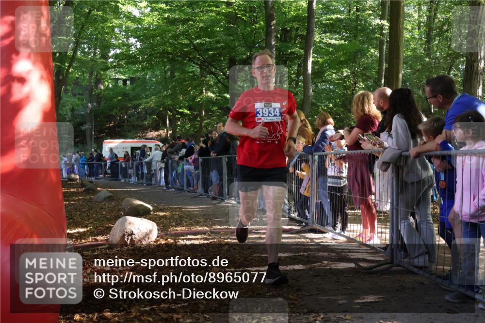 28.09.2025 - 33. Volkslauf durch das schöne Alstertal Strokosch-Dieckow http://msf.ph/oto/8965077 28.09.2025 11:16:54 Ziel 3934 meine-sportfotos.de