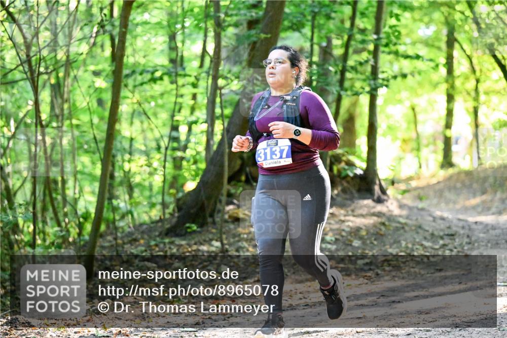 28.09.2025 - 33. Volkslauf durch das schöne Alstertal Dr. Thomas Lammeyer http://msf.ph/oto/8965078 28.09.2025 11:25:37 Laufen 3137 meine-sportfotos.de
