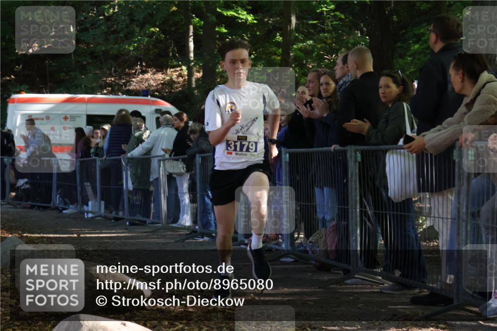 28.09.2025 - 33. Volkslauf durch das schöne Alstertal Strokosch-Dieckow http://msf.ph/oto/8965080 28.09.2025 11:17:32 Ziel 3179 meine-sportfotos.de