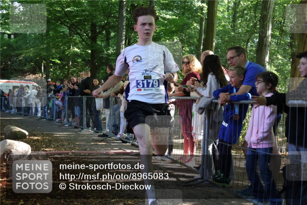 28.09.2025 - 33. Volkslauf durch das schöne Alstertal Strokosch-Dieckow http://msf.ph/oto/8965083 28.09.2025 11:17:33 Ziel 3179 meine-sportfotos.de