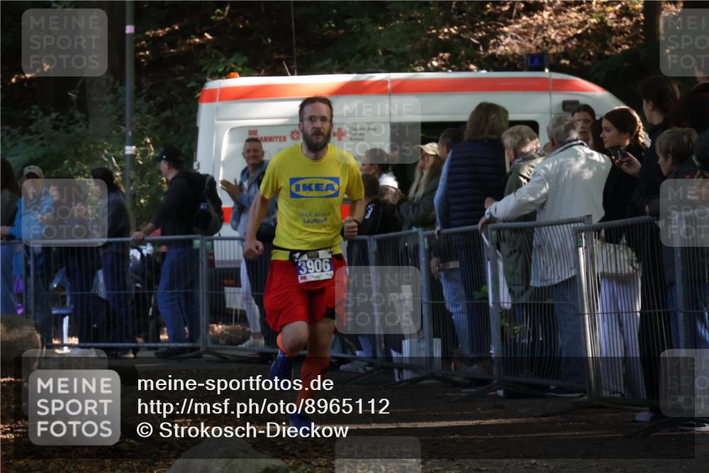 28.09.2025 - 33. Volkslauf durch das schöne Alstertal Strokosch-Dieckow http://msf.ph/oto/8965112 28.09.2025 11:17:57 Ziel 3906 meine-sportfotos.de