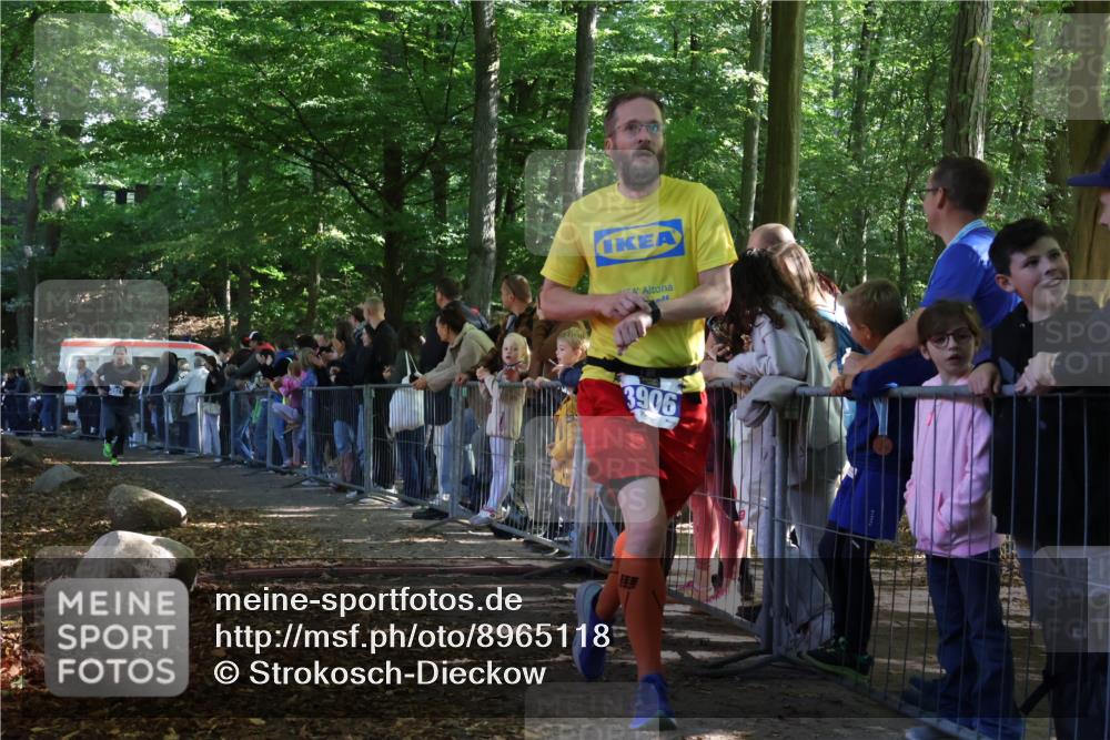 28.09.2025 - 33. Volkslauf durch das schöne Alstertal Strokosch-Dieckow http://msf.ph/oto/8965118 28.09.2025 11:18:02 Ziel 3906, 3921 meine-sportfotos.de