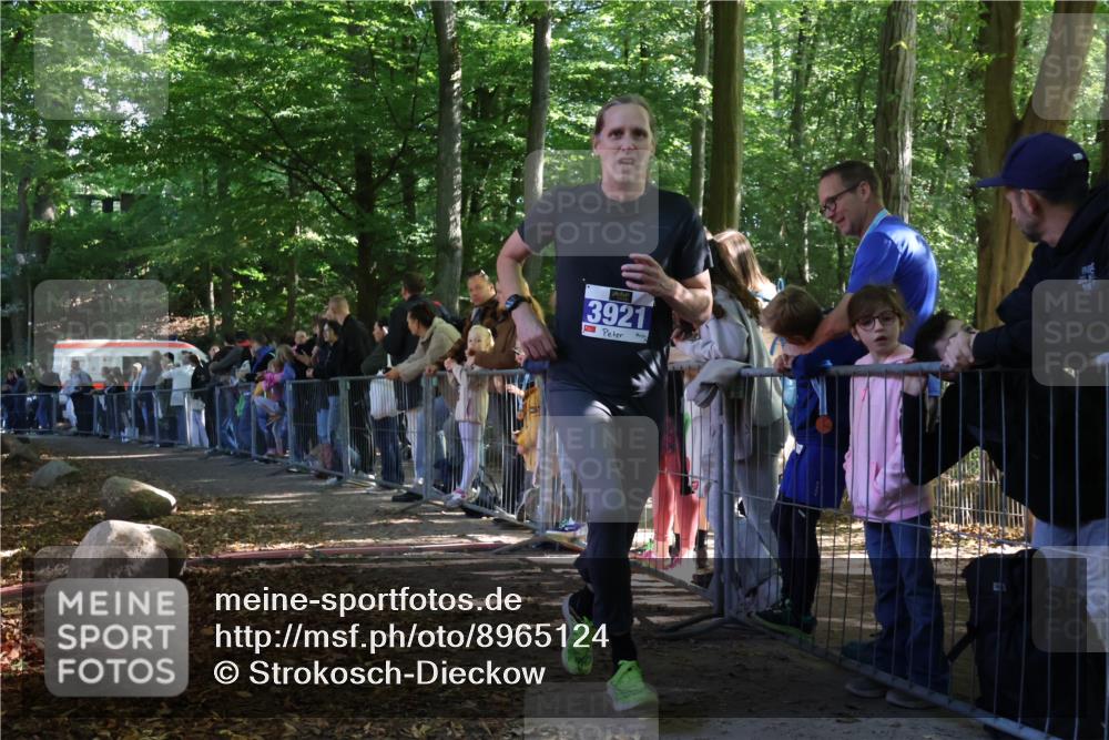 28.09.2025 - 33. Volkslauf durch das schöne Alstertal Strokosch-Dieckow http://msf.ph/oto/8965124 28.09.2025 11:18:07 Ziel 3921 meine-sportfotos.de